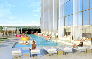 the shore club the shore club